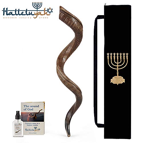 HalleluYAH Shofar Set – Natural 35"-39" Kudu Horn Kosher Shofar – Traditional Ancient Musical Instrument For Jewish Spiritual Ceremonies And Religious Sermons – Authentic Curved Made In Israel