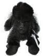 Webkinz Black Poodle with Trading Cards