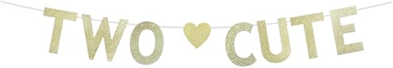Two Cute Banner, Gold Glitter Paper Sign for Baby's 2nd Birthday Party Bunting Supplies Decorations Backdrops