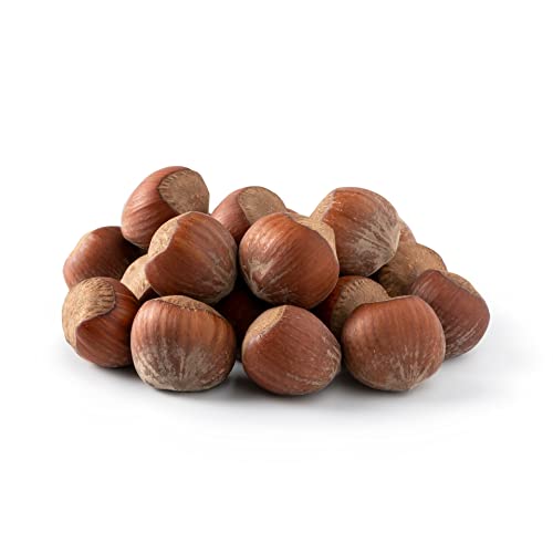 NUTS U.S. - Oregon Hazelnuts In shell | Whole, Raw and Unsalted | No Added Flavor and NON-GMO | Fresh Buttery Taste and Easy to Crack | Natural Unshelled Hazelnuts Packed in Resealable Bags 6 LBS