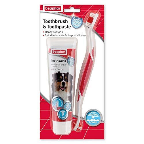 Beaphar Toothbrush and Toothpaste Kit, 100g, 2 Count Pack of 1 15303
