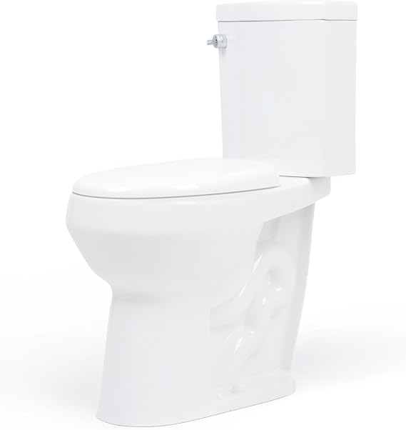 20 inch Extra Tall Toilet. Convenient Height bowl taller than ADA Comfort Height. Dual flush, Metal handle, Slow-close seat