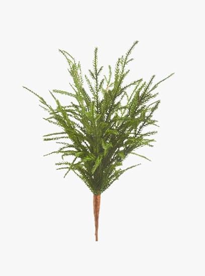 Norfolk 18" Lush Pine Pick