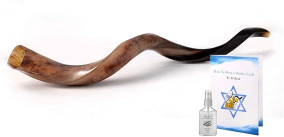 Authentic Yemenite Kudu Shofar - 30" Full Polished Finish - Includes Anti-Odor Spray & Blowing Guide - by Yaliland