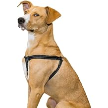 Premier Pet Step-in Harness - Medium, Dog Harness for Medium Sized Dogs