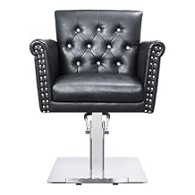 Dir Salon Styling Chair Beauty Hydraulic Salon Stylist Chair Lion