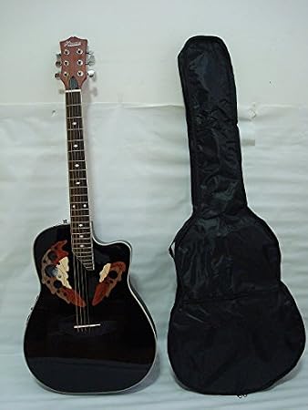 Professional 6 String Acoustic Electric Guitar