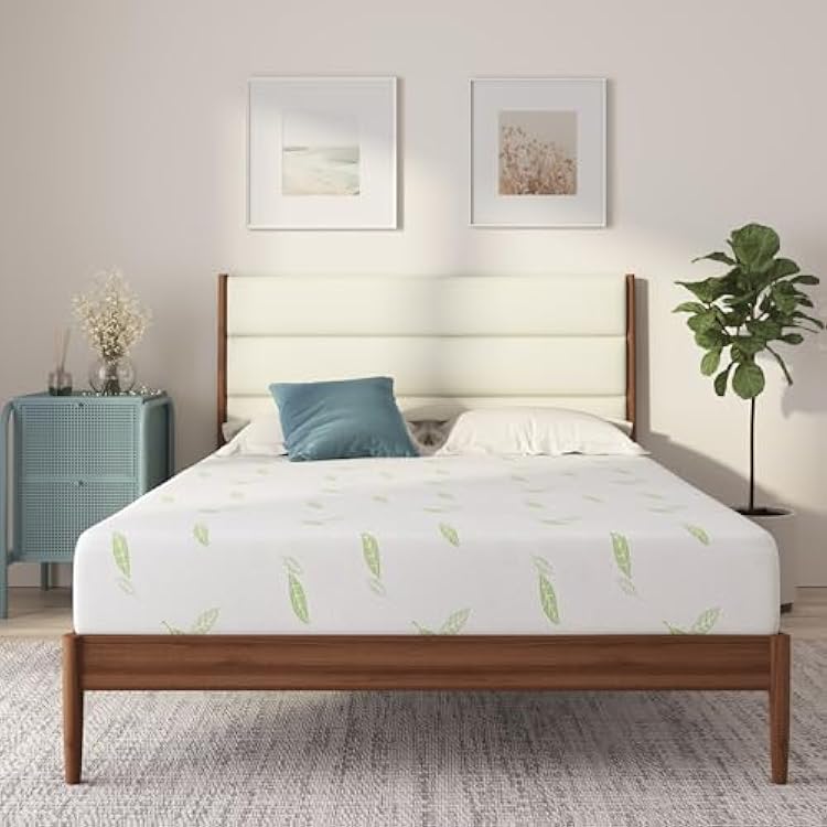 NapQueen Twin XL Size, 12 Inch Anula Green Tea Infused Memory Foam Mattress, Bed in a Box, CertiPUR-US Certified Mattress