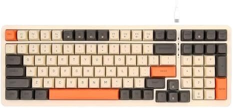 Rii RK909 Wired Mechanical Gaming Keyboard, Blue Switches, 100 Keys, 20 Modes LED Backlighting,Keyboard for PC Gamers/Mac/Windows/Chrome/Linux