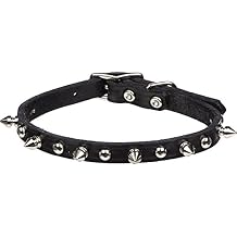 Petco Leather 1" Dog Collar in Black with Metal Spikes