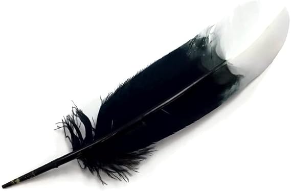 6 Pieces - White Tipped "Imitation Eagle" Turkey Tom Rounds Secondary Wing Quill Feathers Costume Craft Supply | Moonlight Feather