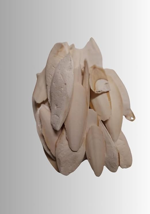 Kalamar Kemiği Subye Kemiği Kırıklı ve Ufak Boy Kalamar Kemiği 100 Gram