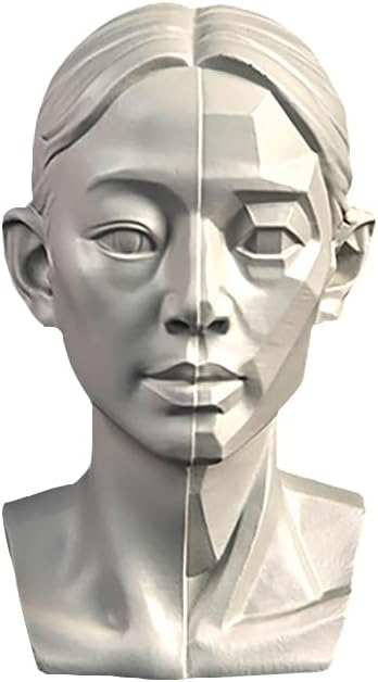 Woman Head Models for Portrait Sketching, Still Life Skulls Drawing Models, Resin Human Manikin Head Sculpture for Medical Drawing Teaching, Resin Plaster Statues 11.5cm (4.5in) (Head & Block)