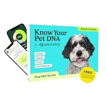 AncestryDNA Know Your Pet DNA: Dog DNA Breed Identification Test, Dog Health Screening, Genetic Traits, DNA Matches, Dog DNA Test, Dog Breed DNA kit, Easy-to-Use Pet DNA Health Test