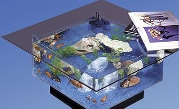 212 Main Aqua Coffee Table Aquarium
