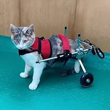 Lightweight Cat Wheelchair for Back Legs, Cat Rear Leg Brace/Mobility Support Aid, Paralysis Kittens Walk Tools Adjustable, Rehabilitation Cart(Size X)