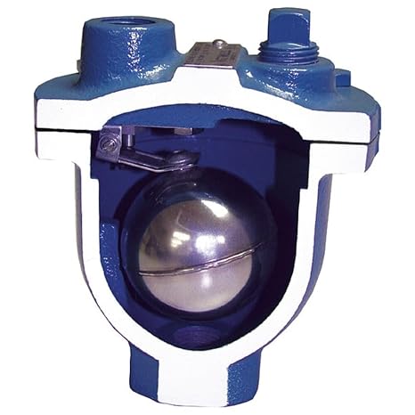 Air Release Valve, FNPT, 1 x 1/2, CI