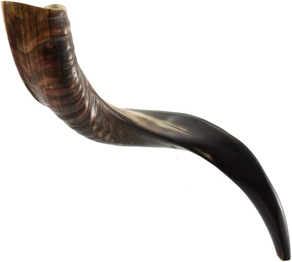 Israel Shofar Set, Natural Kudu Horn Shofar, Kosher Shofar Yemenite Traditional Musical Instrument for Jewish Spiritual Ceremonies and Religious Sermons, Made in Israel