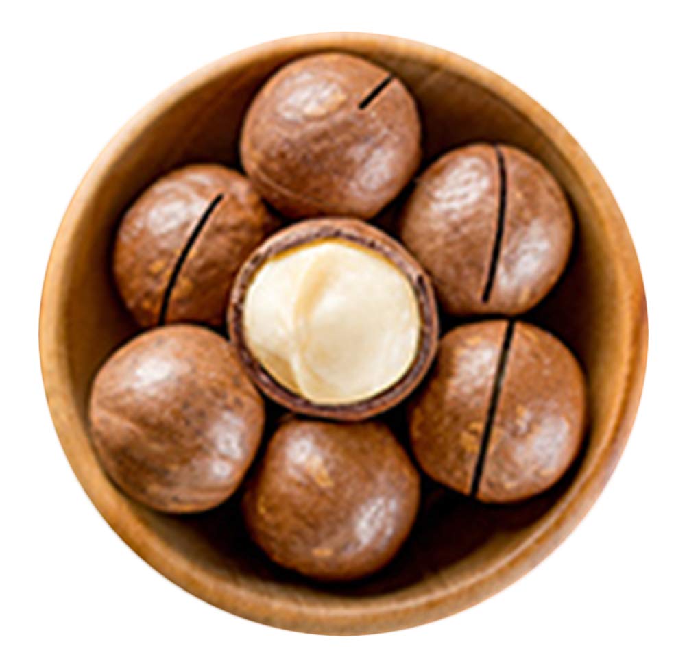OuYang Hengzhi Health Snacks Macadamia Nuts Creamy Flavor Xia Wei Yi Guo 奶油味夏威夷果 100g3.5oz