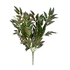 Artificial Flower Olive Leaf Bundle 50cm Coffee Green with 4 Branches