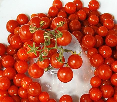 30 Sweet Pea Currant Tomato Seeds, Heirloom Non GMO, Extra Sweet and Heavy Yielding, Low Acid, Indeterminate, Open Pollinated, Long Season, Super Delicious, Solanum lycopersicum Grown in the USA