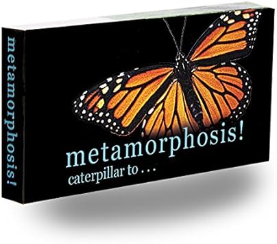 Fliptomania Caterpillar to Monarch Butterfly Metamorphosis Flipbook