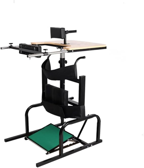 Lower Limb Rehabilitation Support for Disabled with Cerebral Palsy/Disability Support for Double Armpit Walkers (B)