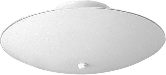 Progress Lighting 12" 2-Light Flush Mount Light, White