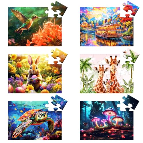 6 Packs Large Piece Puzzle for Seniors - Dementia 16 Pieces Puzzles for Elderly Adults,Alzheimers Puzzles Memory Cognitive Games for Elderly Seniors with 6 Storage Bags