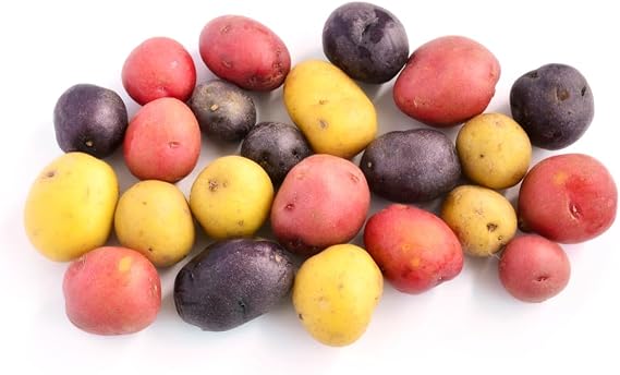 Mixed Mini Seed Potatos for Planting - Easy to Grow - (1 Pound)