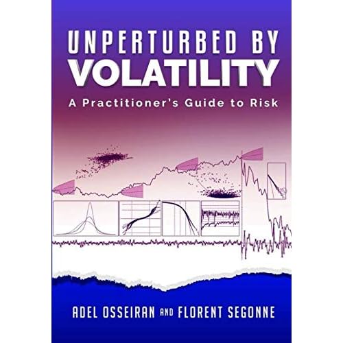 Unperturbed By Volatility: A Practitioners Guide To Risk