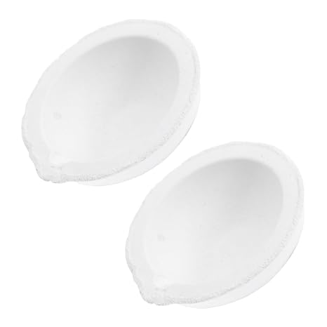 Evaporating Container and Heat-resistant Design Evaporating Basin 2pcs Quartz with Large Surface Area White for Laboratory and School Use Suitable for Home Experiments