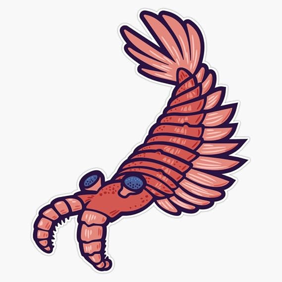 Anomalocaris Sticker Decal Size 5"