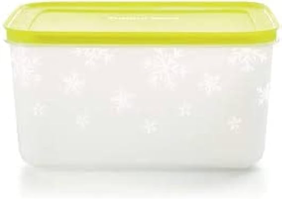 Tupperware Plastic Utility Freezer Container 2.5 L (Multicolor), Blue