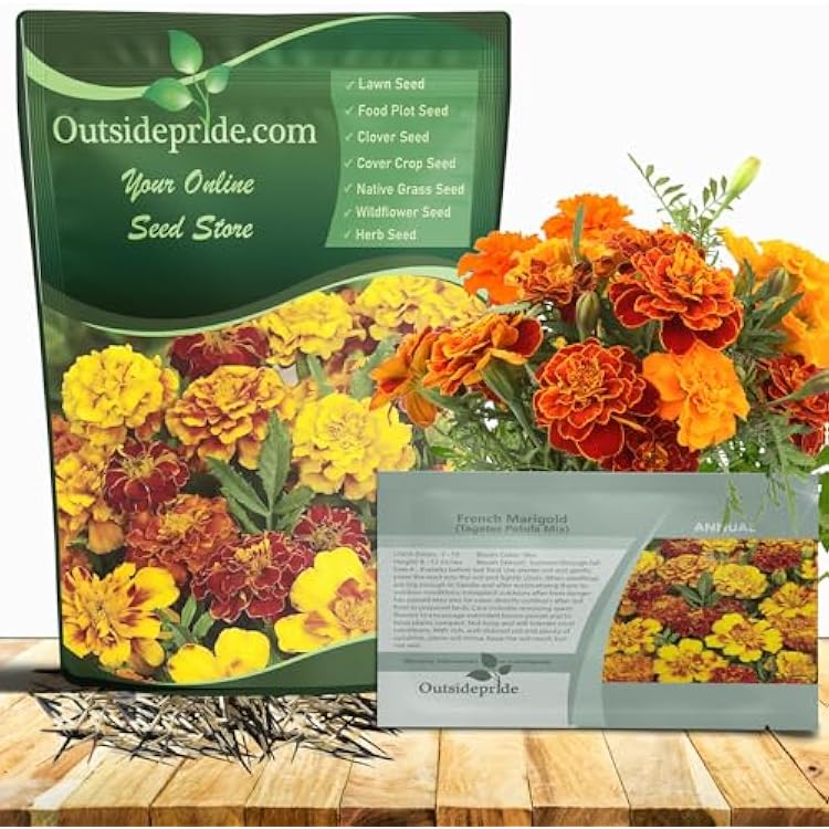 Outsidepride French Marigold Seeds Mix - 1000 Pcs Annual, Compact, Heat & Drought Tolerant Flower Seeds for Planting wOrange & Yellow Prolific Blooms, Ideal for Vibrant Pollinator Gardens