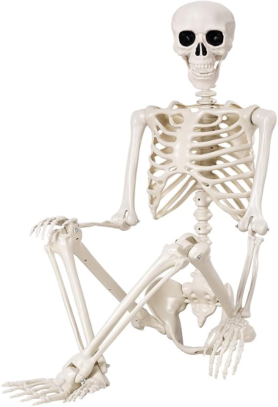5.4 ft Halloween Skeleton - 165cm Life Size Human Skeleton with Full Body Posable Joints - Spooky Scary Plastic Skeleton for Outdoor Halloween Decoration, Party Decor, Haunted House Props