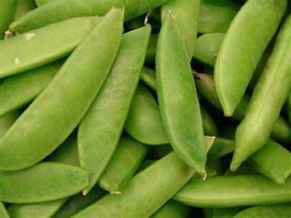 Pea Seed, Sugar Daddy Snap Pea, Heirloom, Non GMO, 50 Seeds, Perfect Peas, Country Creek Acres