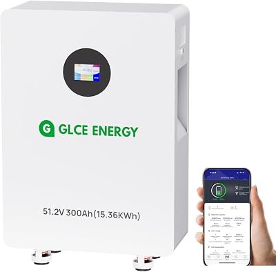 51.2 V 300 Ah LiFePO4 Lithium Battery, LCD Screen, Built-in 200 A Smart BMS, 15.36 kWh Battery for RV, Solar, Energy Storage for Home BluetoothWiFi