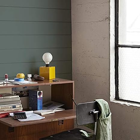 Timeline Sage Shiplap Engineered Wood Wall Paneling, 3/8 in. 5.5 in. x 72 in. (6-Brds, 16.5 SF/Pkg)