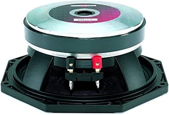 B&C 8PE21 Studio Subwoofer