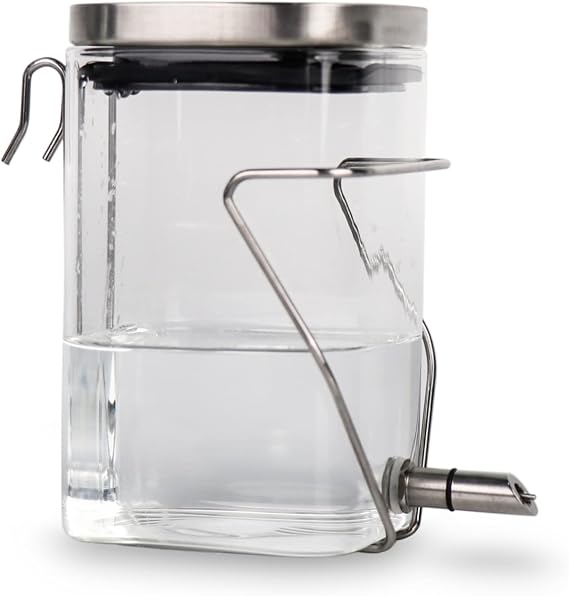 Guinea Pig Water Bottle No Sweat Rabbit Glass Waterer Chinchilla Stainless Steel Nozzle Bite Proof Water Dispenser for Small Animals, Bunnies, Hamsters, Sugar Gliders, Rats 20.5oz