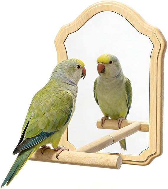 Bird Mirror with Wooden Perch, 15cm Parakeet Toys for Cage