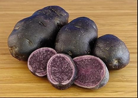 Potato Seed - Blue - Great Color Addition to All Your Food Dishes - 6 Tubers