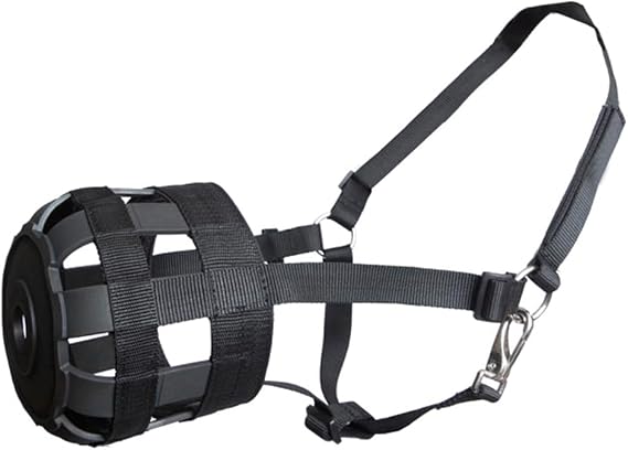 Grazing Muzzle with Halter
