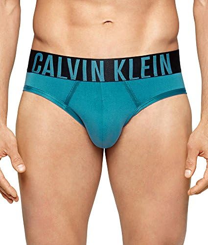 Calvin Klein Mens Underwear Intense Power Micro Hip Briefs