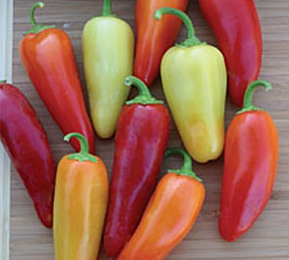 Pepper Hot Santa Fe Grande Great Heirloom Vegetable By Seed Kingdom 1 Oz Seeds