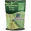 Outsidepride Perennial Alfalfa Seeds for Planting - 1 lb High Yield, Nitrocoated, Inoculated Winter Hardy Forage Legume Seeds for Growing Lush Green Grass Lawns, Pastures, Hay for Livestock