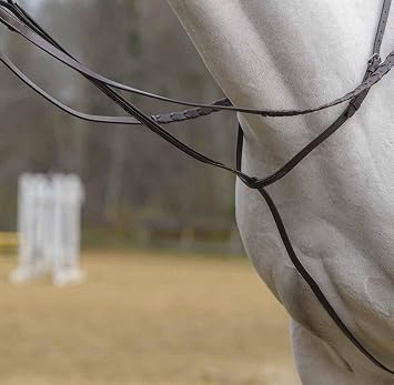 Avignon Standing Martingale (Pony, Havana)