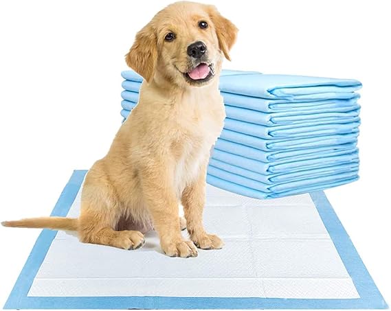 Pet Training Pads Leak Proof Super Absorbent Large Dog Pee Pads For Puppy Dog Cat 60 x 60cm (40 Pads)