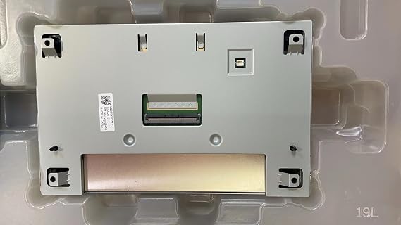 LCD Screen LQ080Y5DZ10